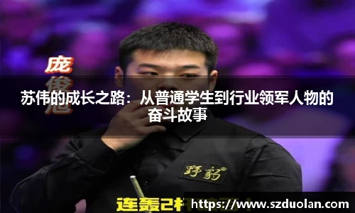 苏伟的成长之路：从普通学生到行业领军人物的奋斗故事